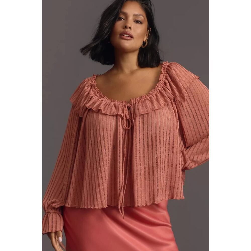 By Anthropologie 1X Plus Sheer Pink Blouse NWT Ruffle Long Sleeve Boho Romantic